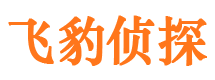 阳东寻人公司